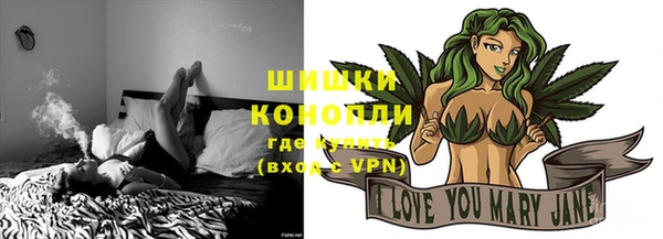 прущие крисы Новозыбков