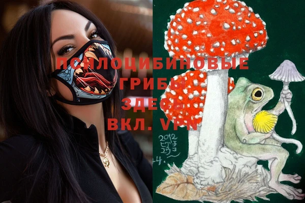 эйфоретик Балахна