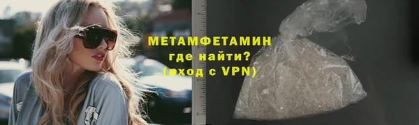 прущие грибы Новодвинск