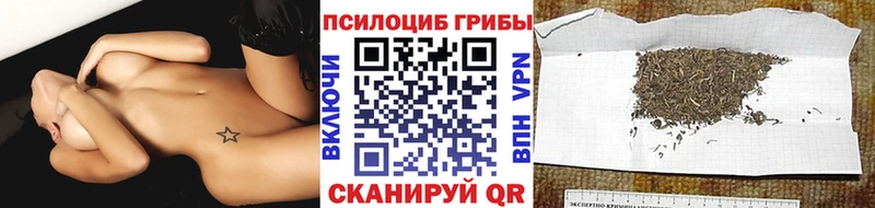 Купить закладки Бутурлиновка Псилоцибиновые грибы MAGIC MUSHROOMS